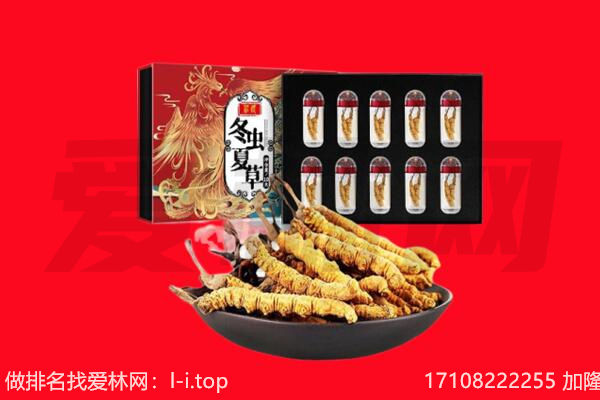 武安市回收虫草.jpg